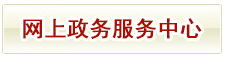 網上政務服務中心